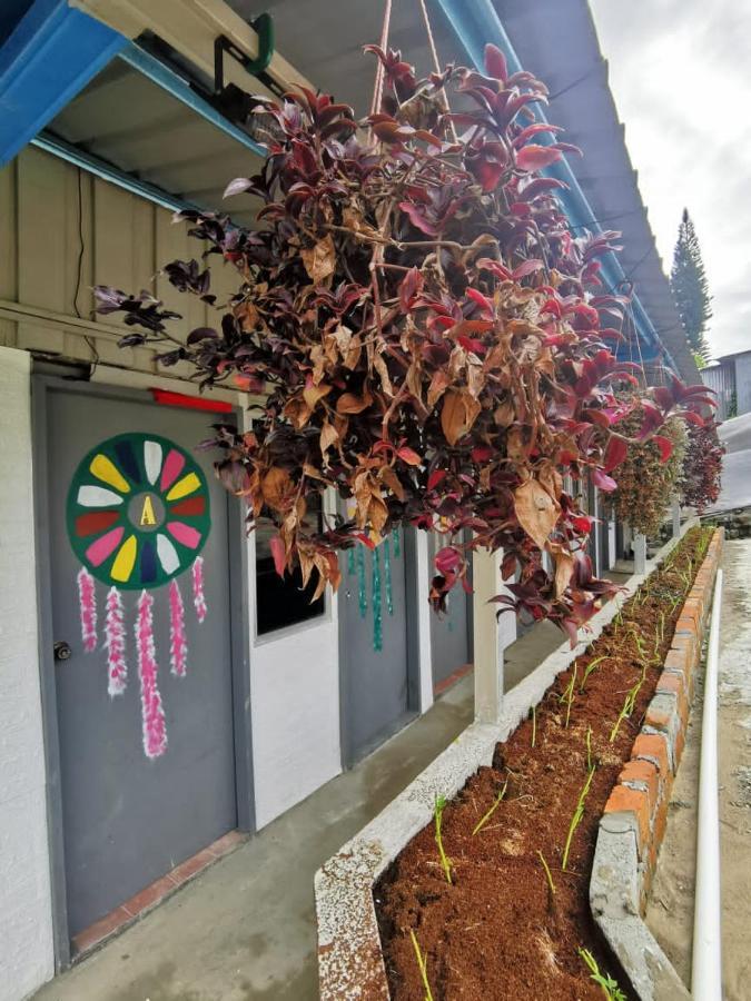 Dreamcatcher Homestay, Kundasang راناوْ المظهر الخارجي الصورة